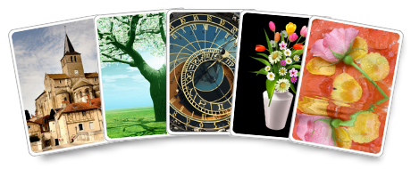 Card Backs