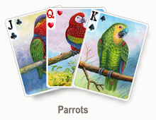 Parrots - card set