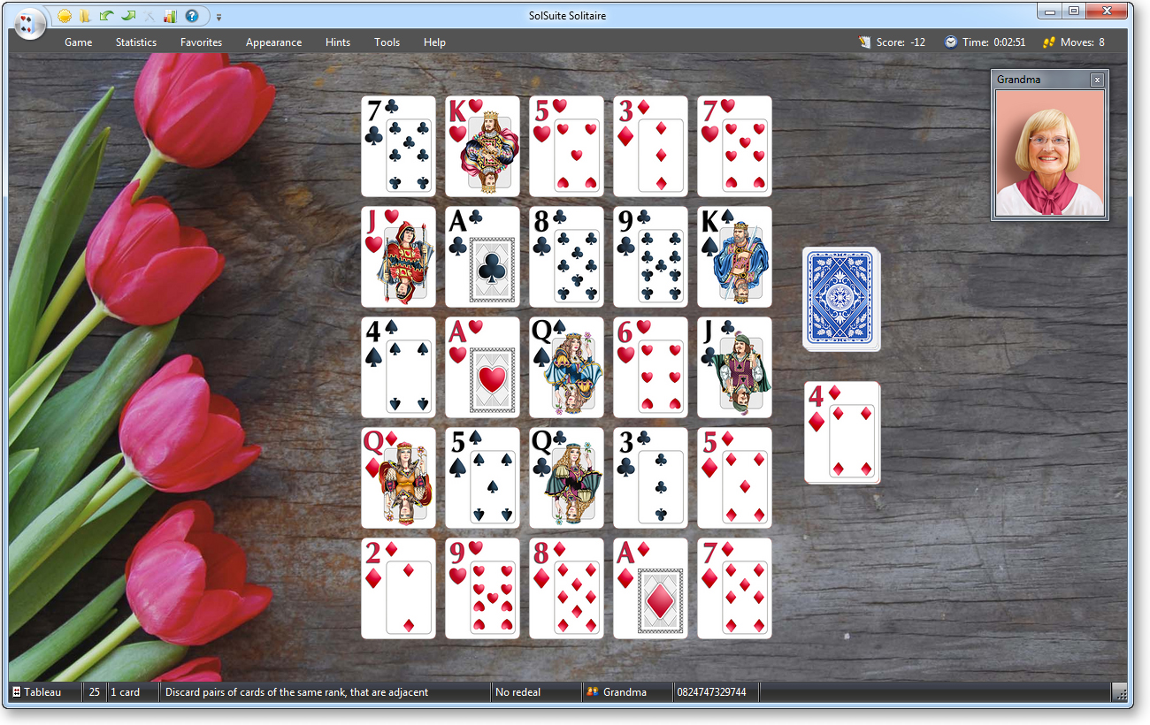 SolSuite 2008's Monte Carlo Screenshot